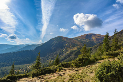 通往霍维拉山的小道。乌克兰喀尔巴阡山脉。