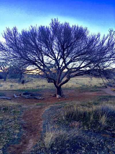 ATree