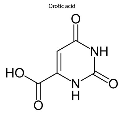 分子骨架式。
