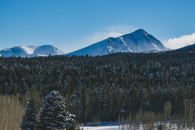 基督山的雪血