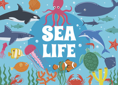 海洋生物。有海洋生物的水下世界