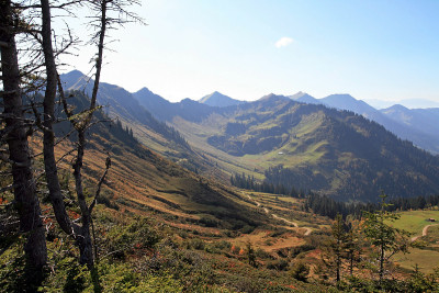 在山里
