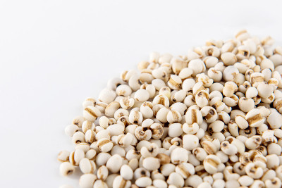 coix seed