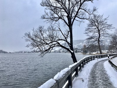 漫步在上巴伐利亚白雪覆盖的小路上。