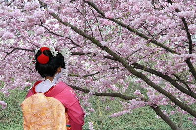 日本艺妓