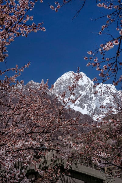 巴基斯坦的山脉和山峰