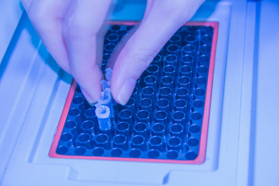 一步PCR