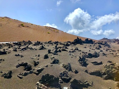 金丝雀岛景观
