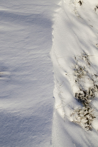 在一场大雪和干草中落下的雪