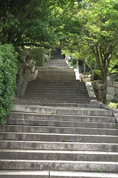山坡上