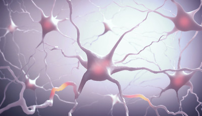 Neurones