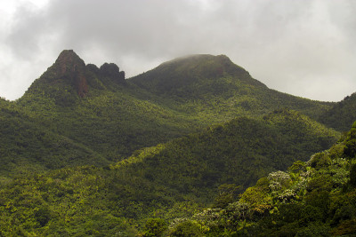 热带山区