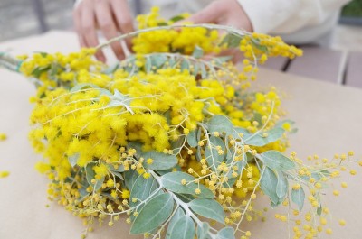 如何用含羞草做花环
