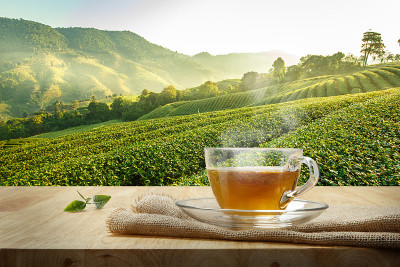 一杯用麻袋包装的热茶放在木桌上，以茶园为背景