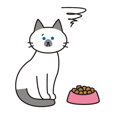 一只不满地看着食物的暹罗猫