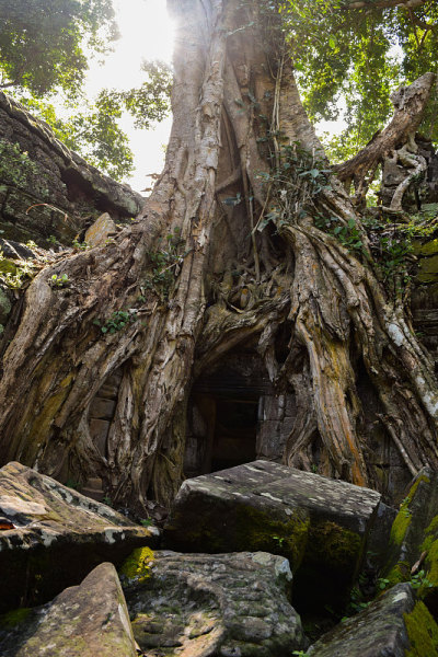 塔普伦寺