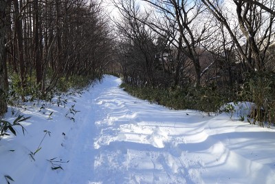日本福岛县，一条通往Adatara山的雪道(2017年12月29日)