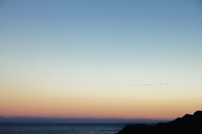 海岸线靠近Höfn黄昏