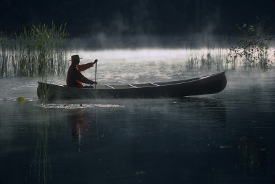 MorningMist