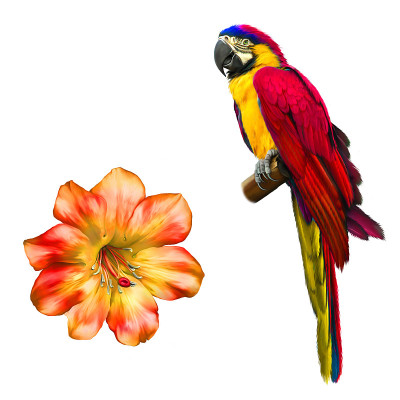 蓝色鹦鹉金刚鹦鹉，红色花朵。孤立在白色的。插图