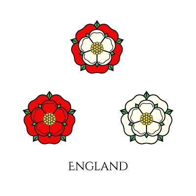 图朵玫瑰的英国矢量插图。