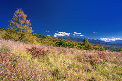 日本长野县矢状武高地国家纪念物的秋天山景
