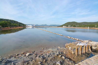 塞斯·萨利恩的风景