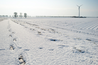雪地里的脚步声