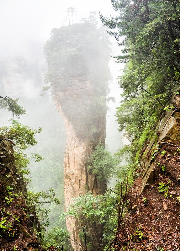 云雾缭绕的袁家界风景区，武陵源，张家界国家森林公园，中国，湖南，亚洲