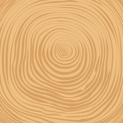 矢量横切树的年轮背景
