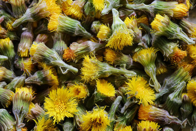 用雄须花换茶
