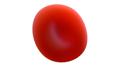 血细胞特写
