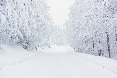 雪路