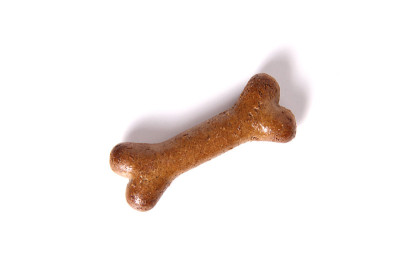 狗粮