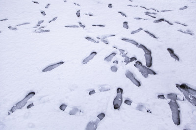 脚印在雪地