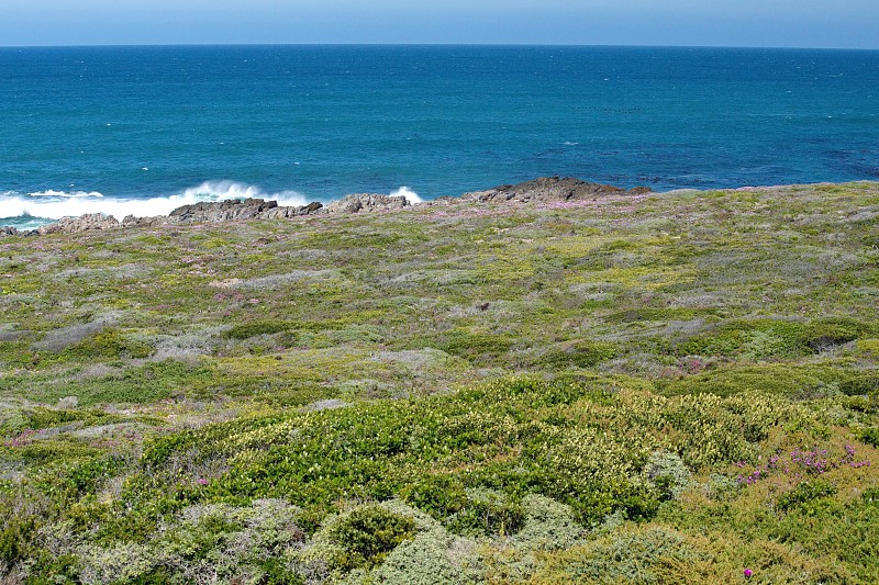 岩石的大西洋海岸线