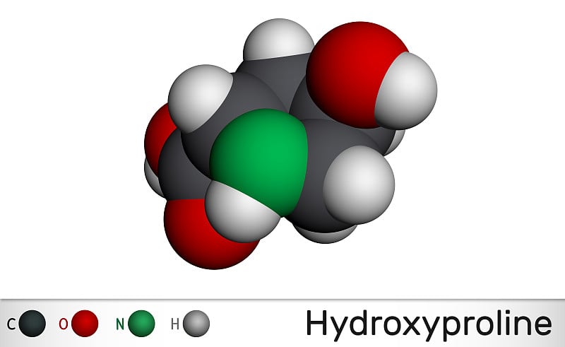 羟脯氨酸，Hyp, C5H9NO3分子。它是一种常见的蛋白质原性氨基酸，是胶原蛋白的主要成分。分子模