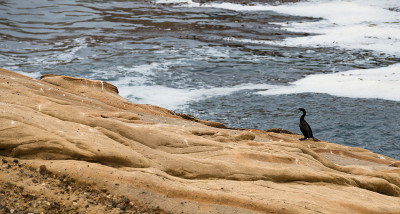 Point Lobos State Reserve