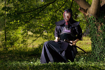 武士