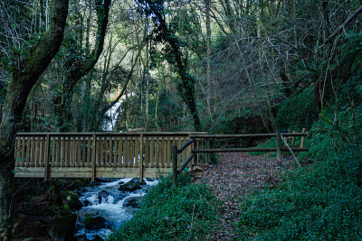 Cabreia, Vouga的Sever