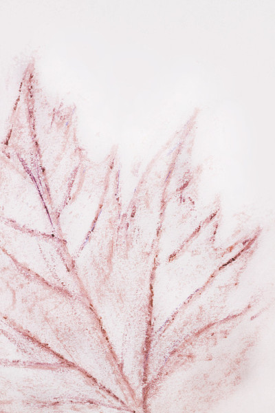抽象手绘粉笔画。植物背景与棕色的叶子在白色。