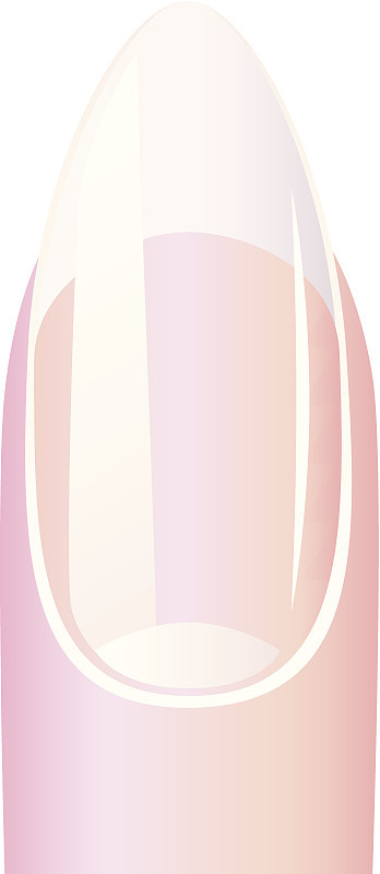 指甲