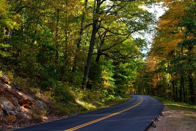 秋季森林道路