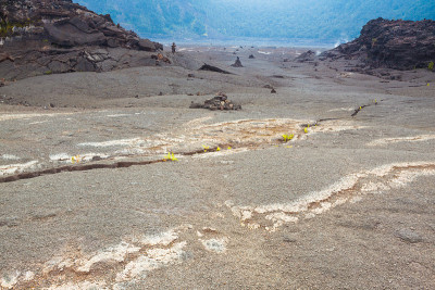 火山口地板