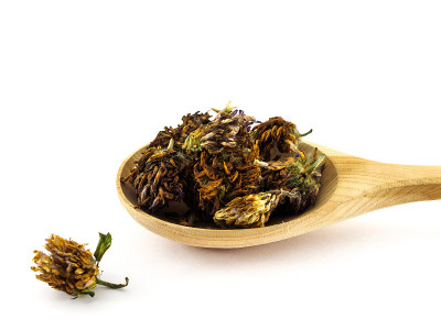 干三叶草花躺在一个木勺上，白色的背景