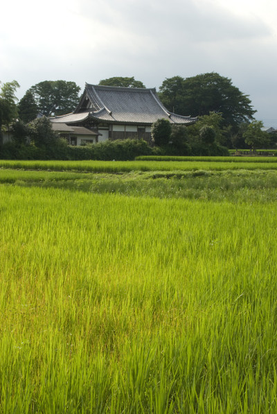 日本农场的房子