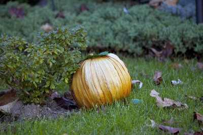 Pumkin装饰。