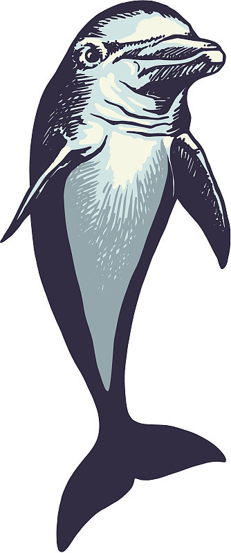 dolfin