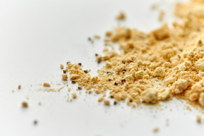 面粉甲虫在烘焙面粉