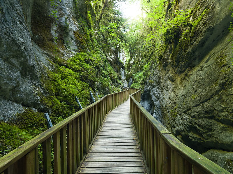 尊重峡谷。